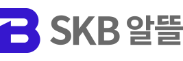 SKB˶ ΰ
