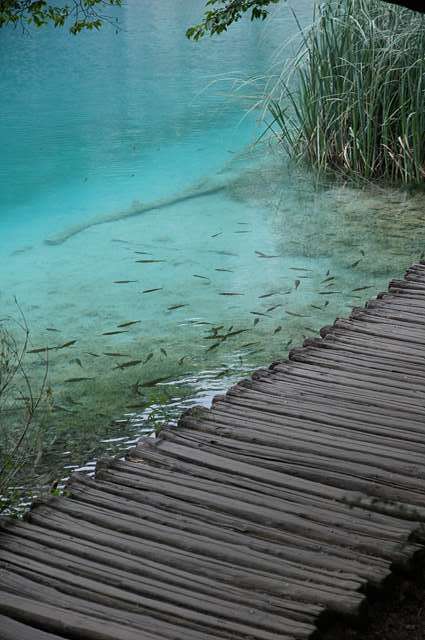 Plitvice of Croatia ױ  ѹ  Ұ