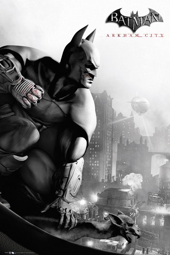 1382264358_FP2646_BATMAN_ARKHAM_CITY_cover.jpg