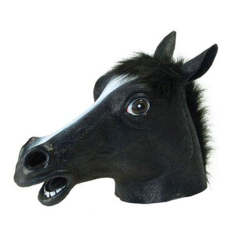 1386248351_horse.JPG