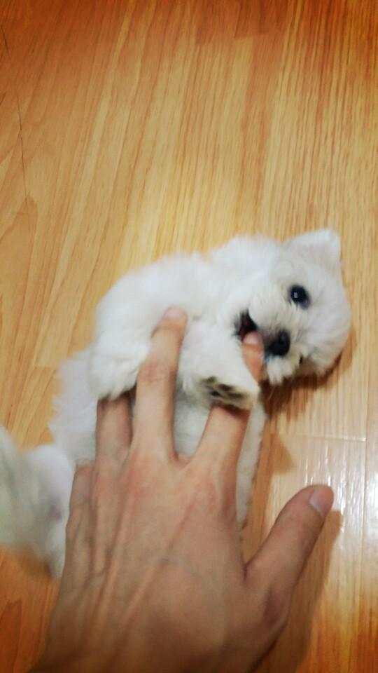 1406557478_KakaoTalk_20140728_230527961.jpg