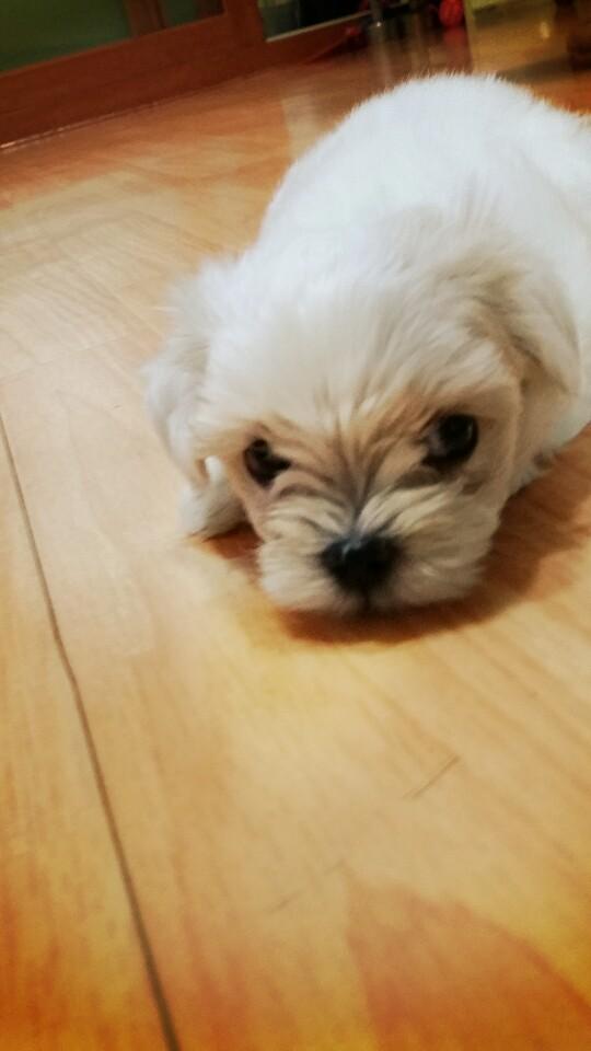 1406557479_KakaoTalk_20140728_230529041.jpg