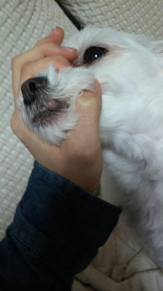 1420204860_KakaoTalk_20150102_190028552.jpg