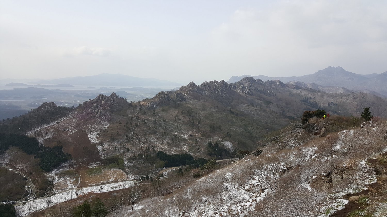 20180408121808_koizysvi.jpg