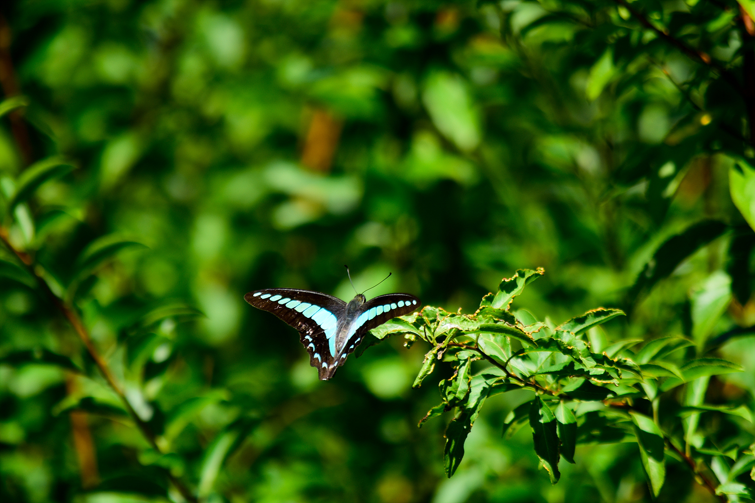 20180906161938_umanxueo.jpg