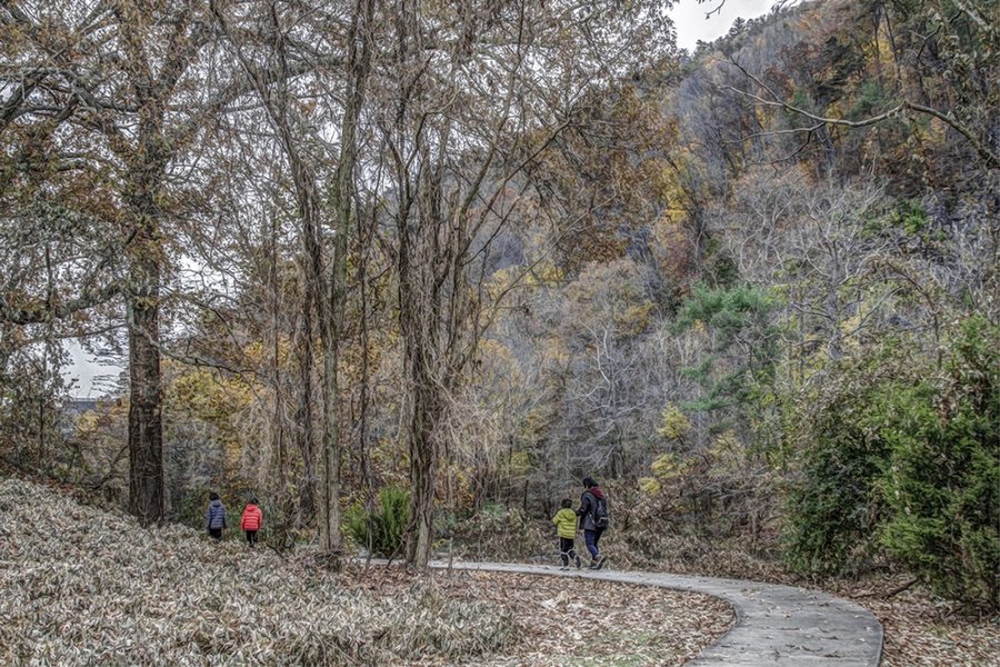 üŰ(Cherokee National Forest)