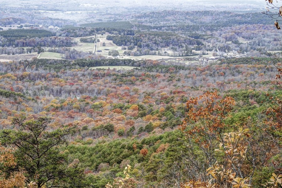 üŰ(Cherokee National Forest)