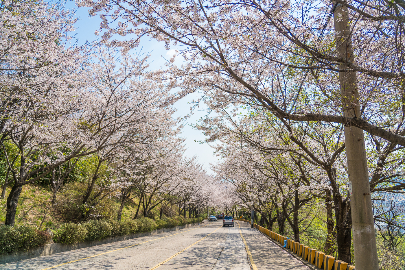 20190403211133_umgyuyoo.jpg