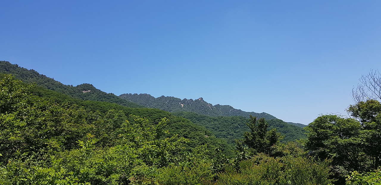 20190711215729_ayqkhaar.jpg