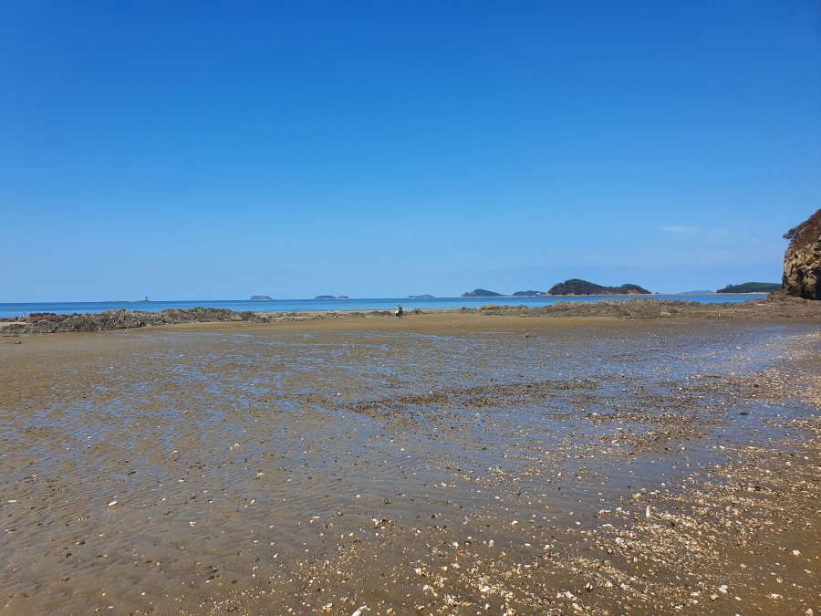 泲 ~~