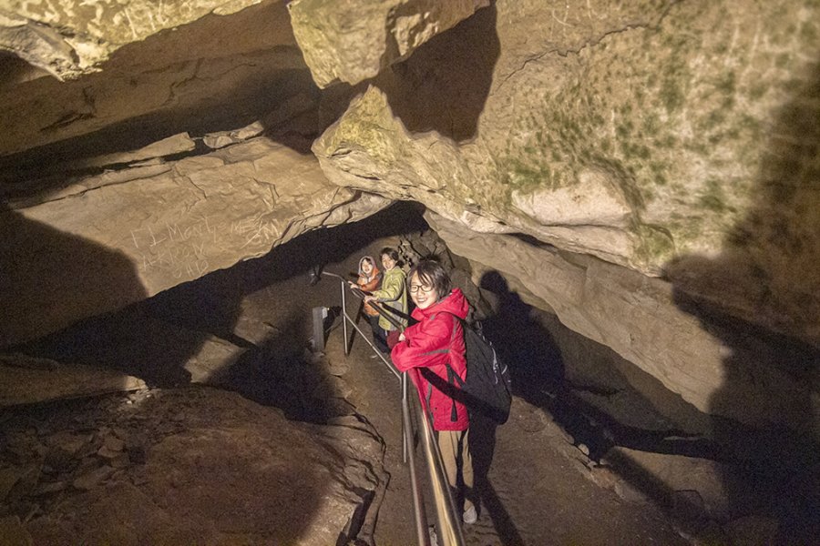 Ÿӵ嵿 (Mammoth Cave)