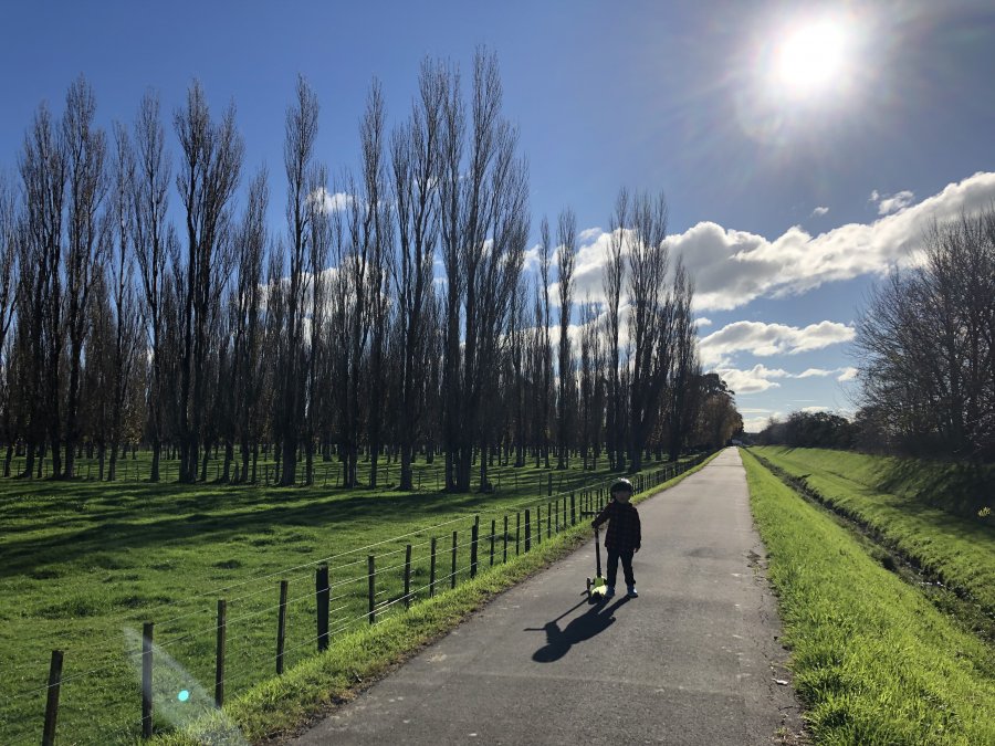  ϻ_01_Manawatu Riverside Walkway