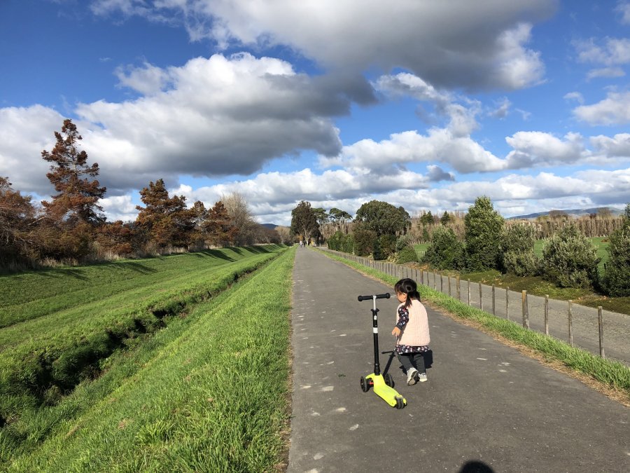  ϻ_01_Manawatu Riverside Walkway