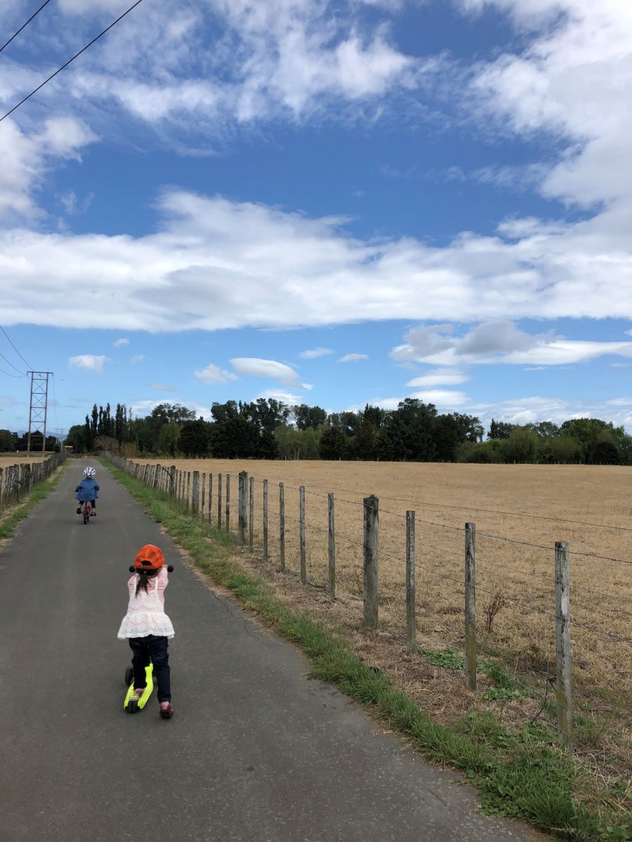  ϻ_01_Manawatu Riverside Walkway