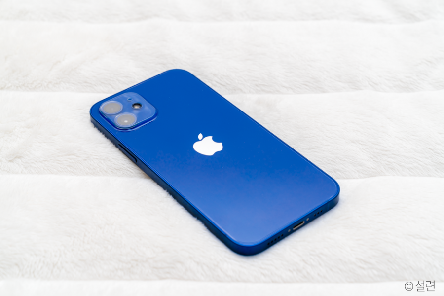 Apple iPhone 12 Blue