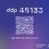 DDP 45133 