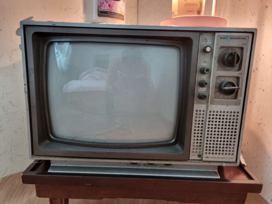 1981 ĮTV