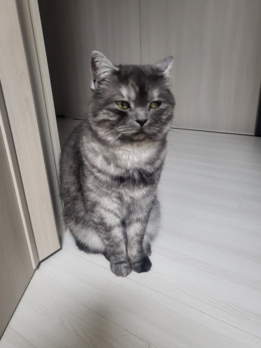 츮 