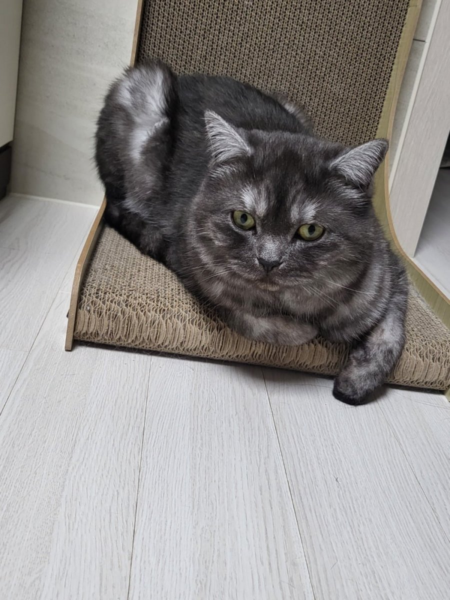 츮 