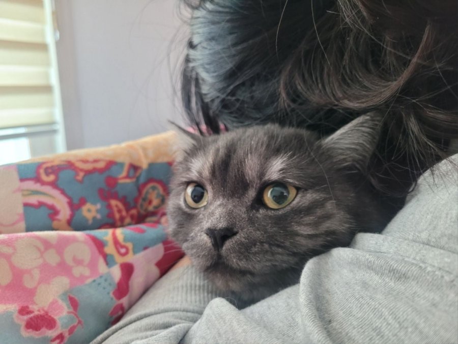 츮 