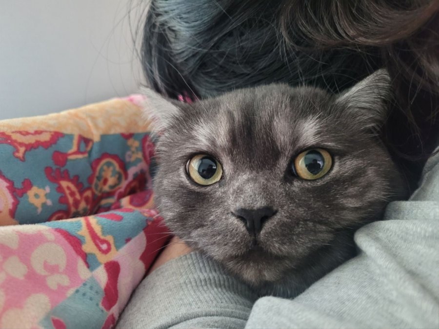 츮 