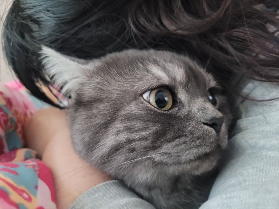 츮 