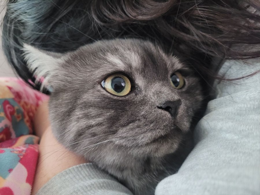 츮 