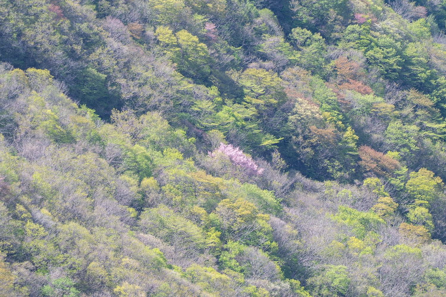 20250504132545_sM2oe6apon.jpg