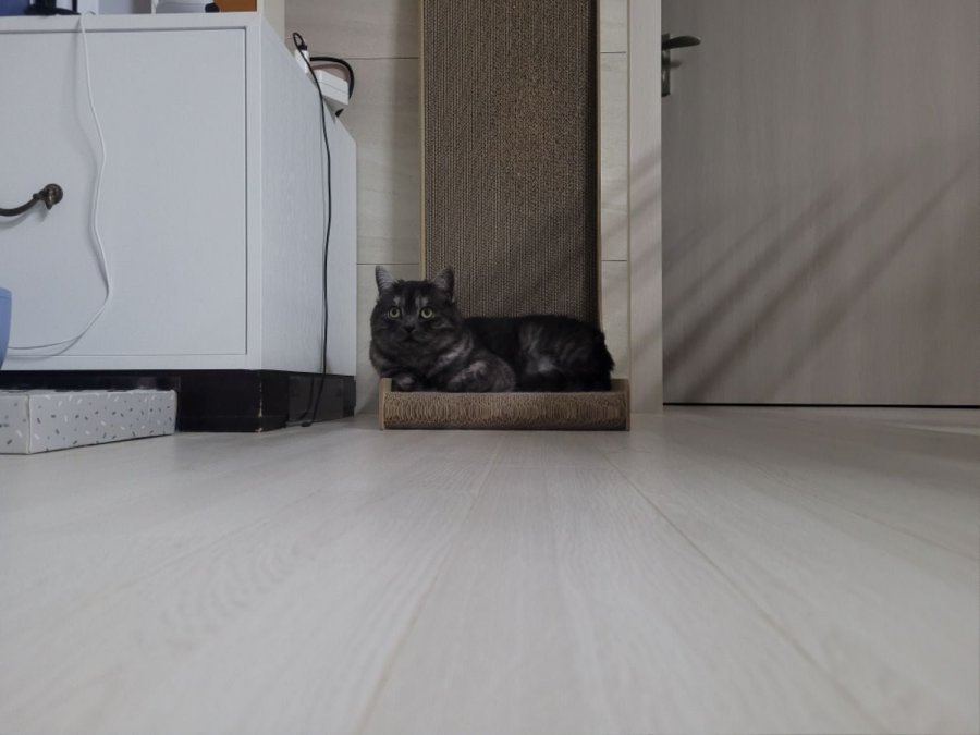 츮 