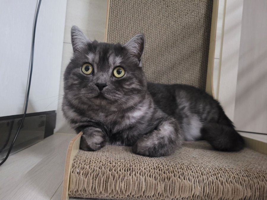 츮 