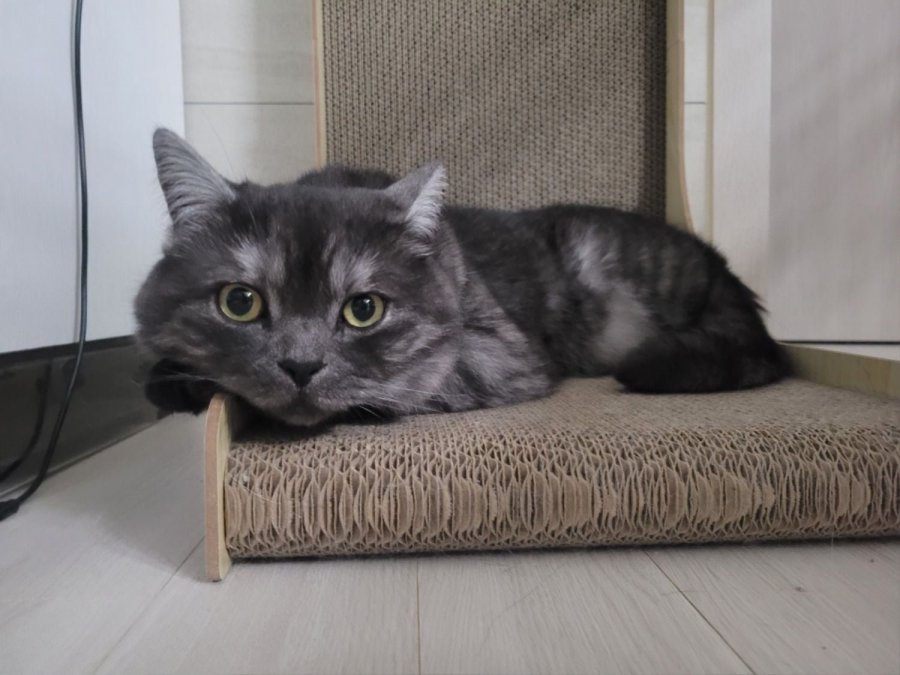 츮 