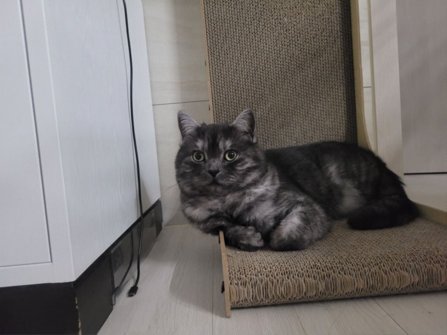 츮 