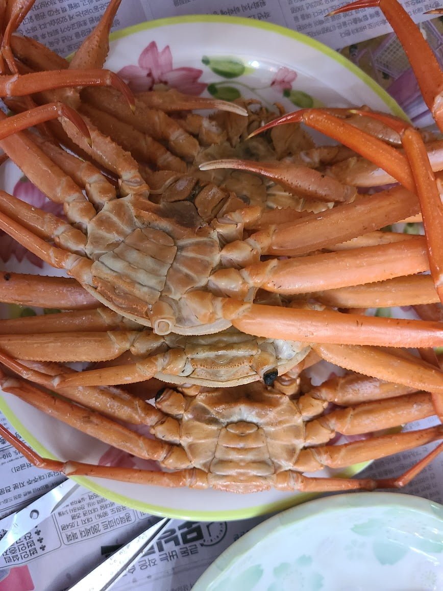 ȫ