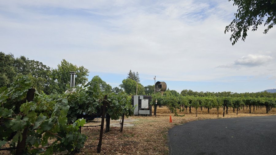 ;˸ ʺλȰ 2 - Napa Valley Grgich Hills Estate