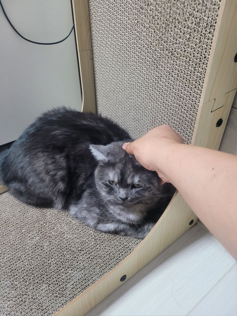 츮 