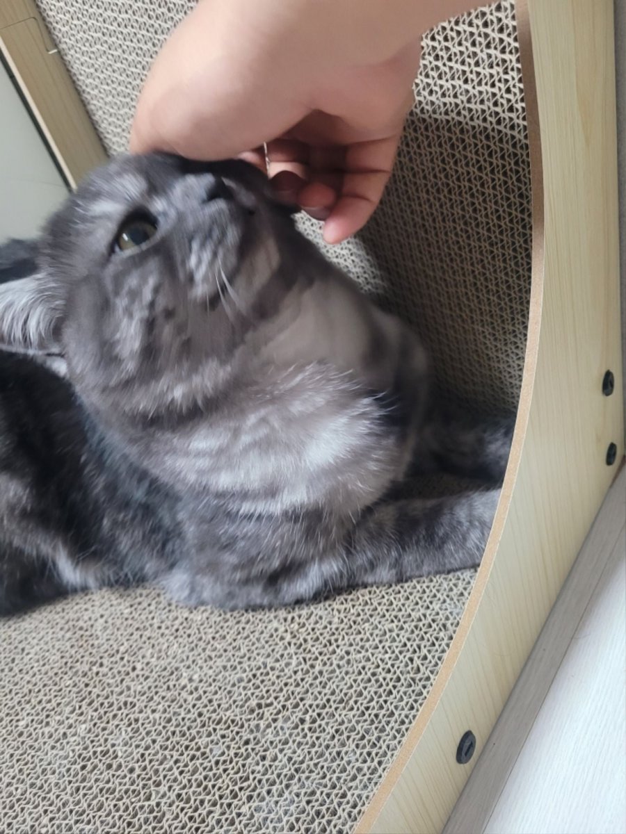 츮 