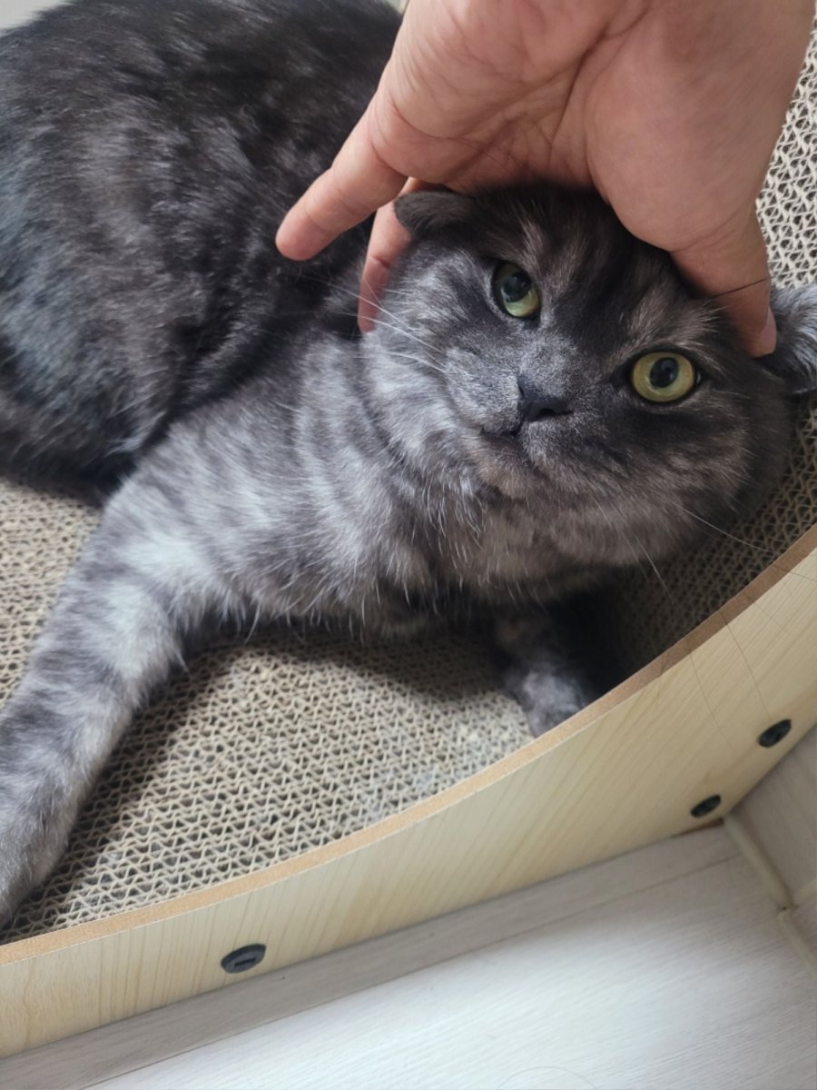 츮 
