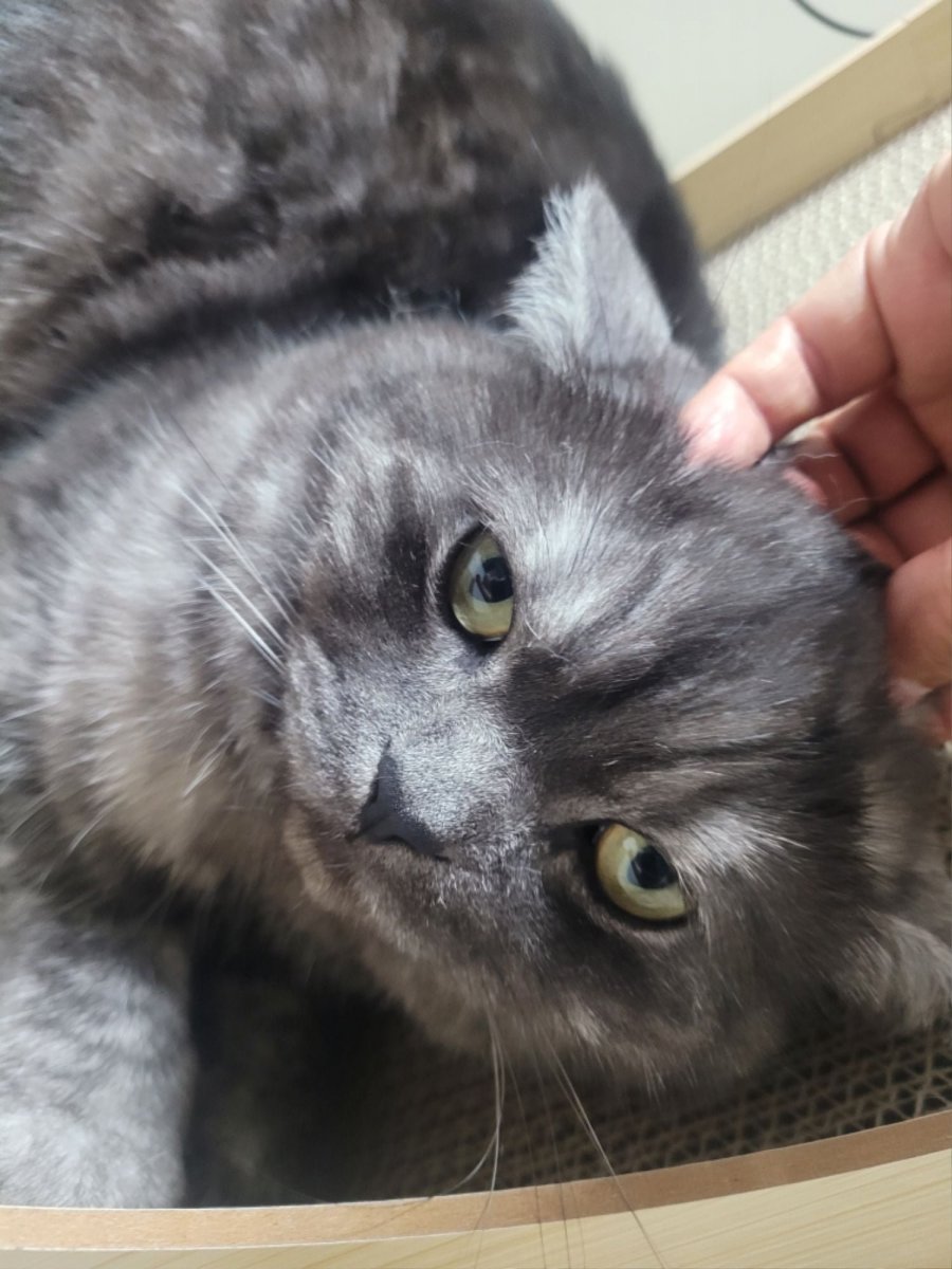 츮 