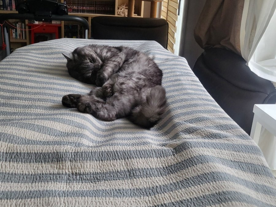 츮 