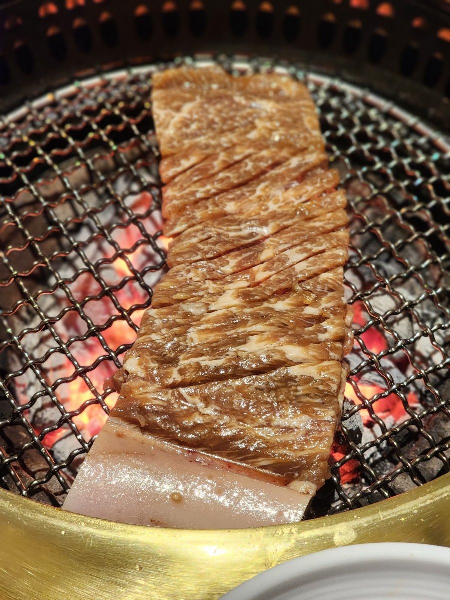   Ծ ~