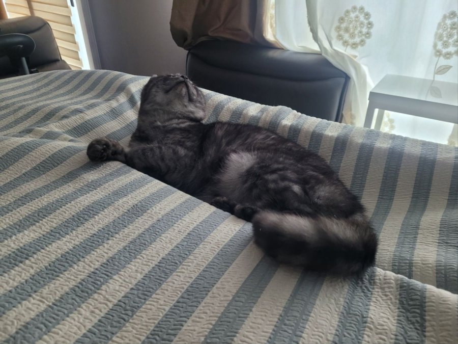 츮 