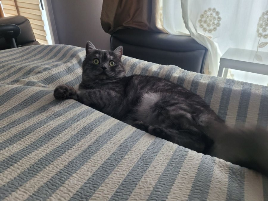 츮 