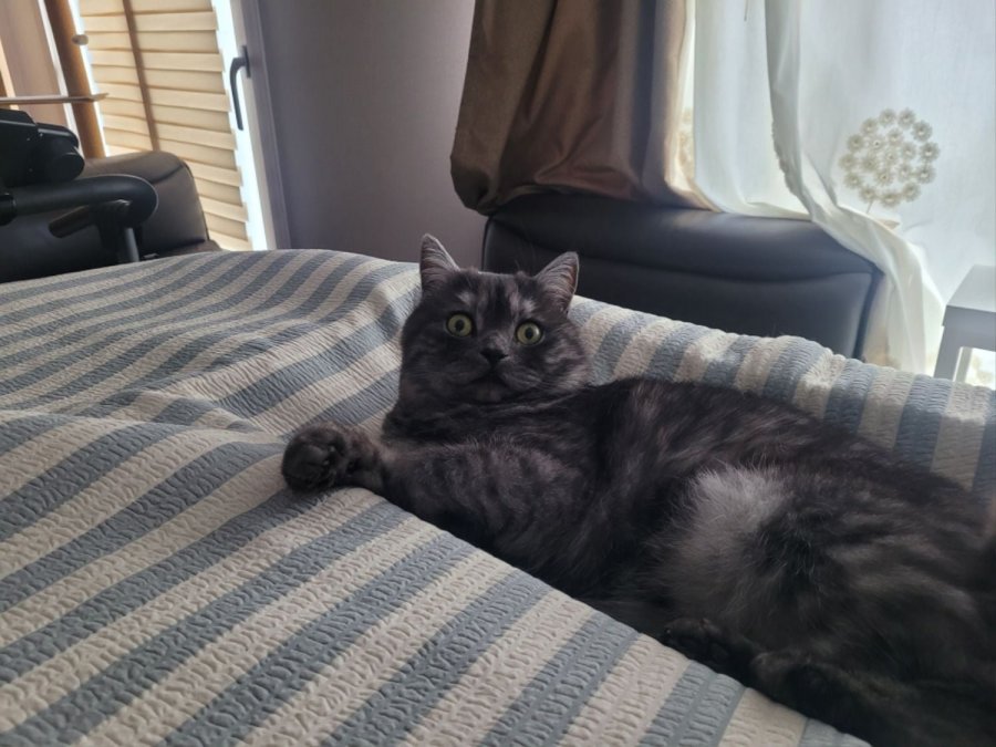 츮 