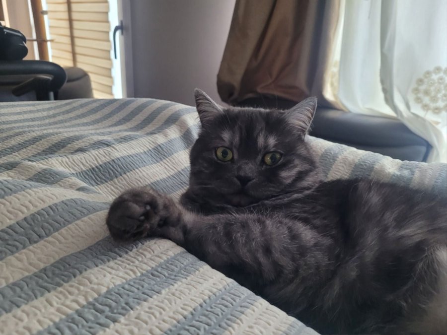 츮 