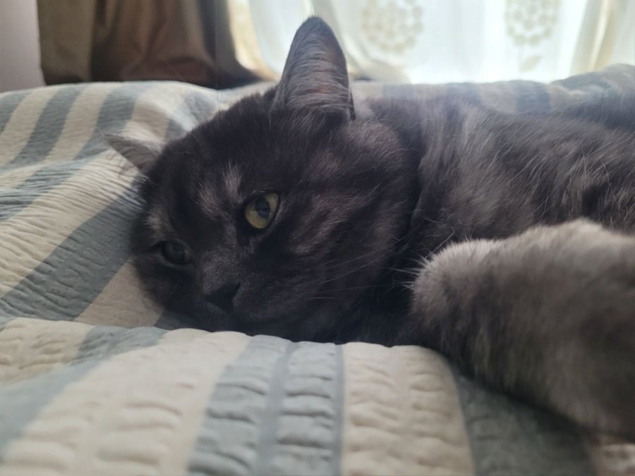 츮 