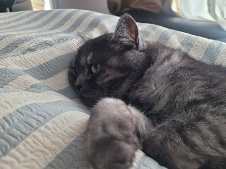 츮 