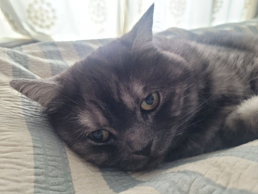 츮 