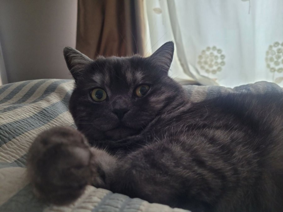 츮 
