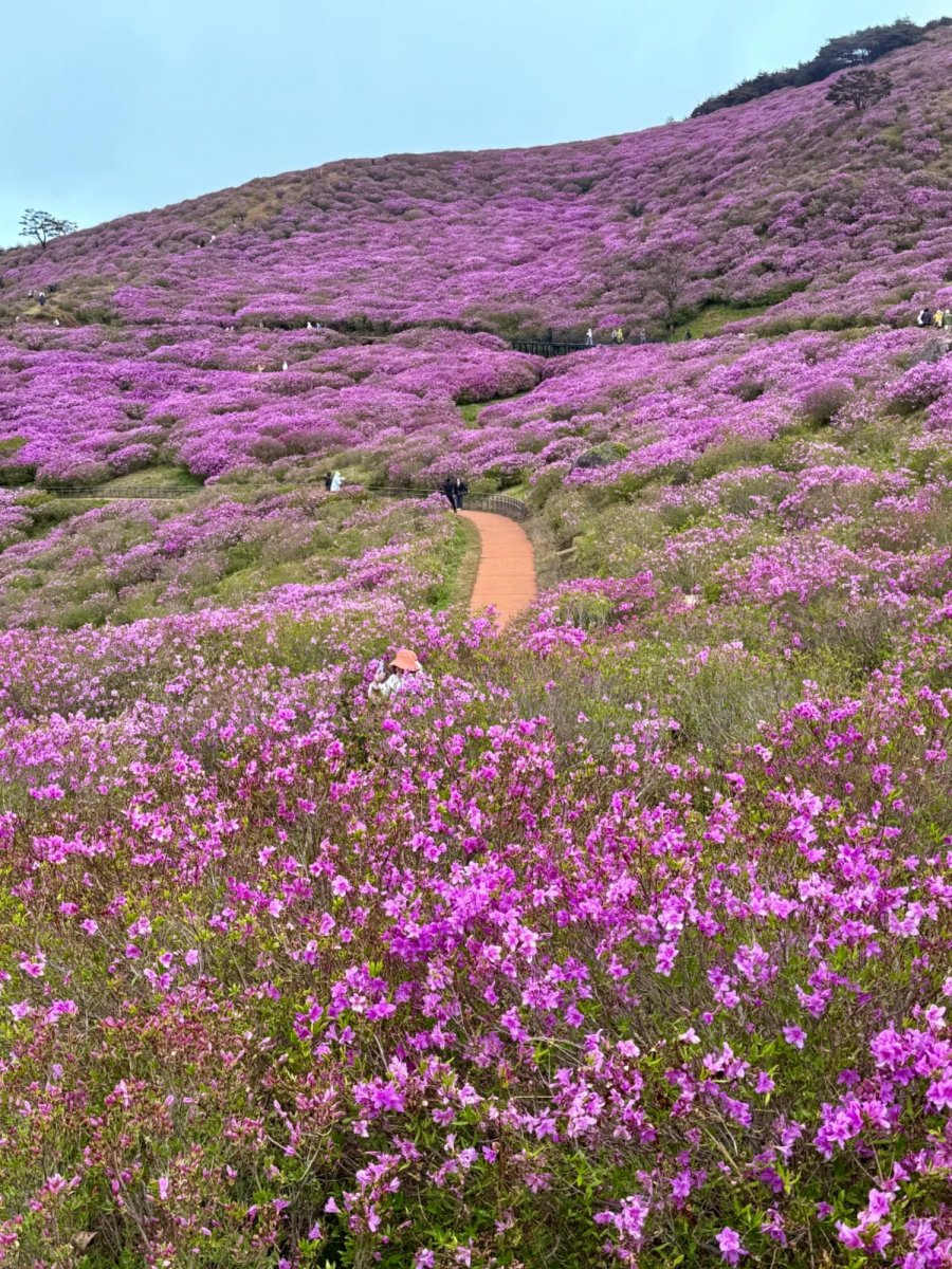   ݾ ȲŻ ö