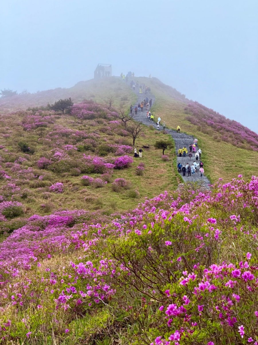  ݾ ȲŻ ö